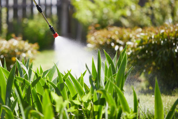 24/7 Emergency Cockroach Control experts in Livingston, TN