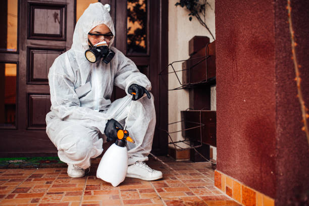 Reliable Cockroach Control contractor in Livingston, TN by Nex Pest Control