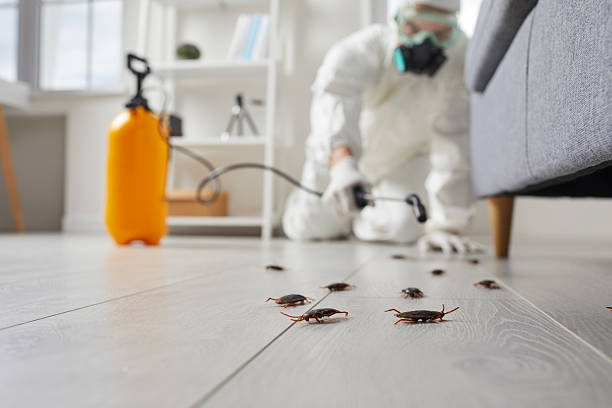 Trusted Fumigation Services service in Livingston, TN - Nex Pest Control
