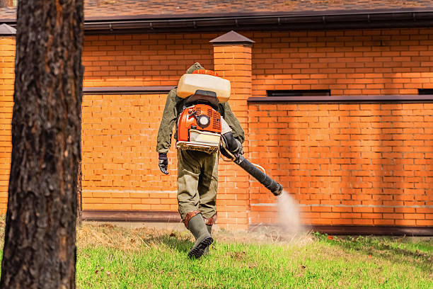 Trusted Mosquito Control service in Livingston, TN - Nex Pest Control